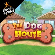 Casino-Game-The Dog House
