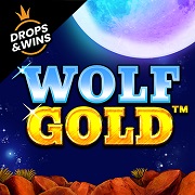 Casino-Game-Wolf Gold
